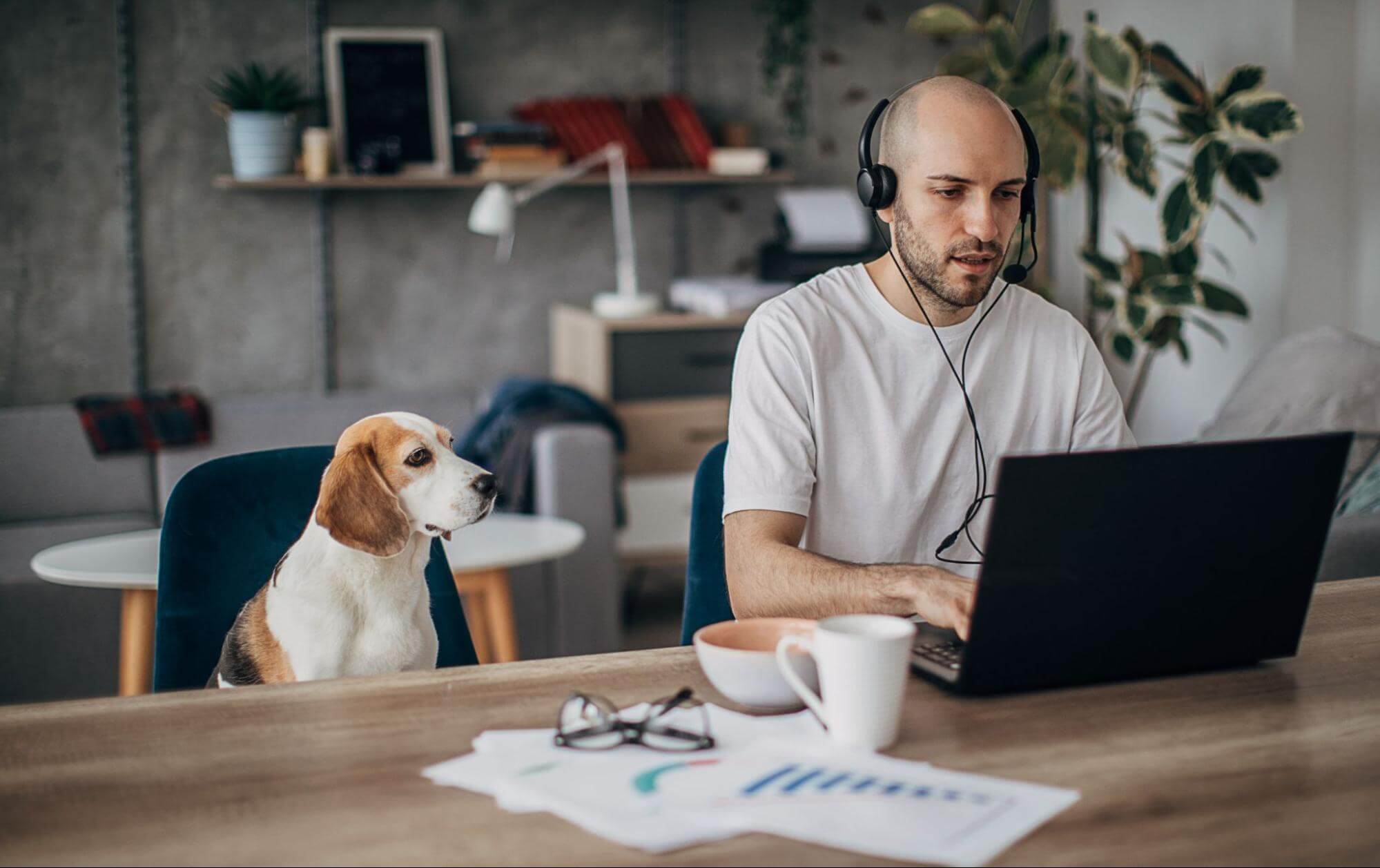 Contractor Management System Man Working At Home