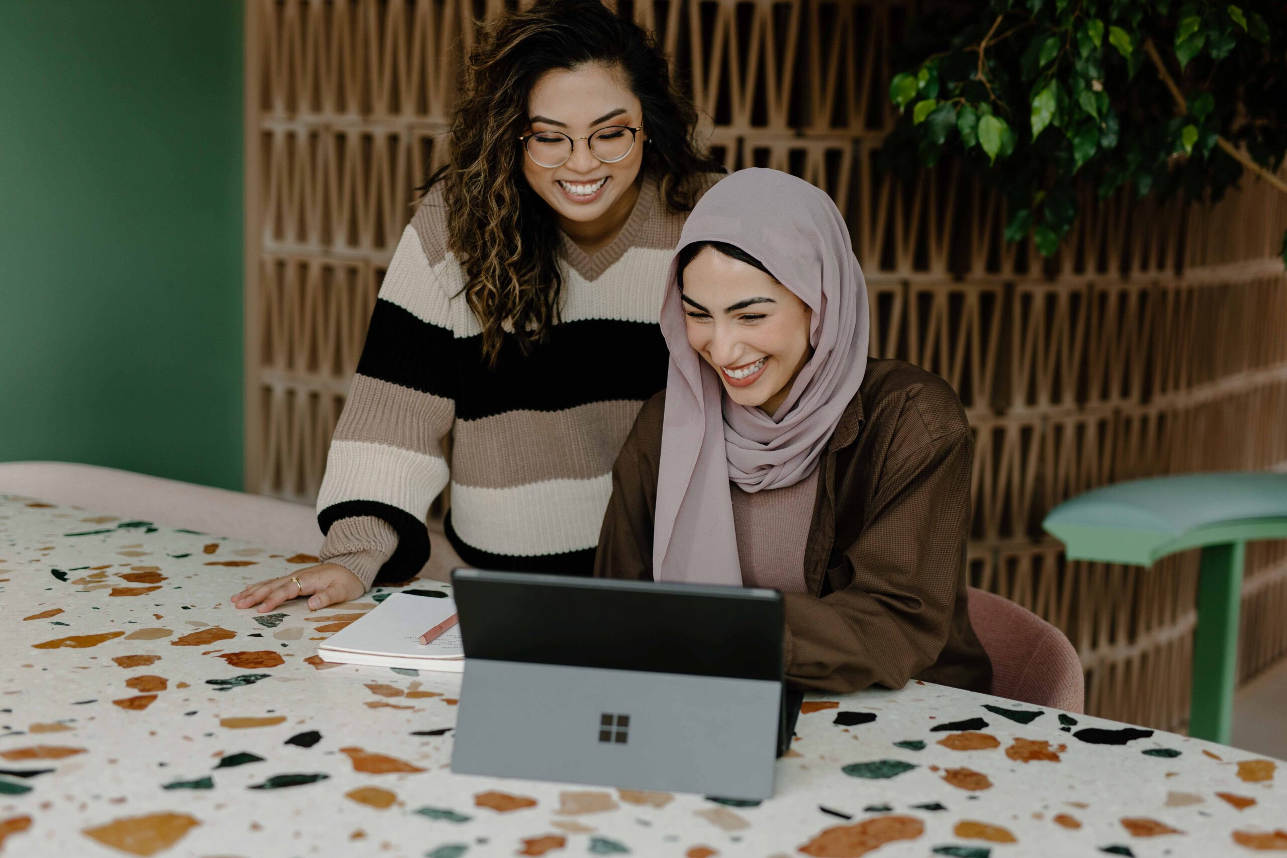 Tow ladies using a computer at a desk